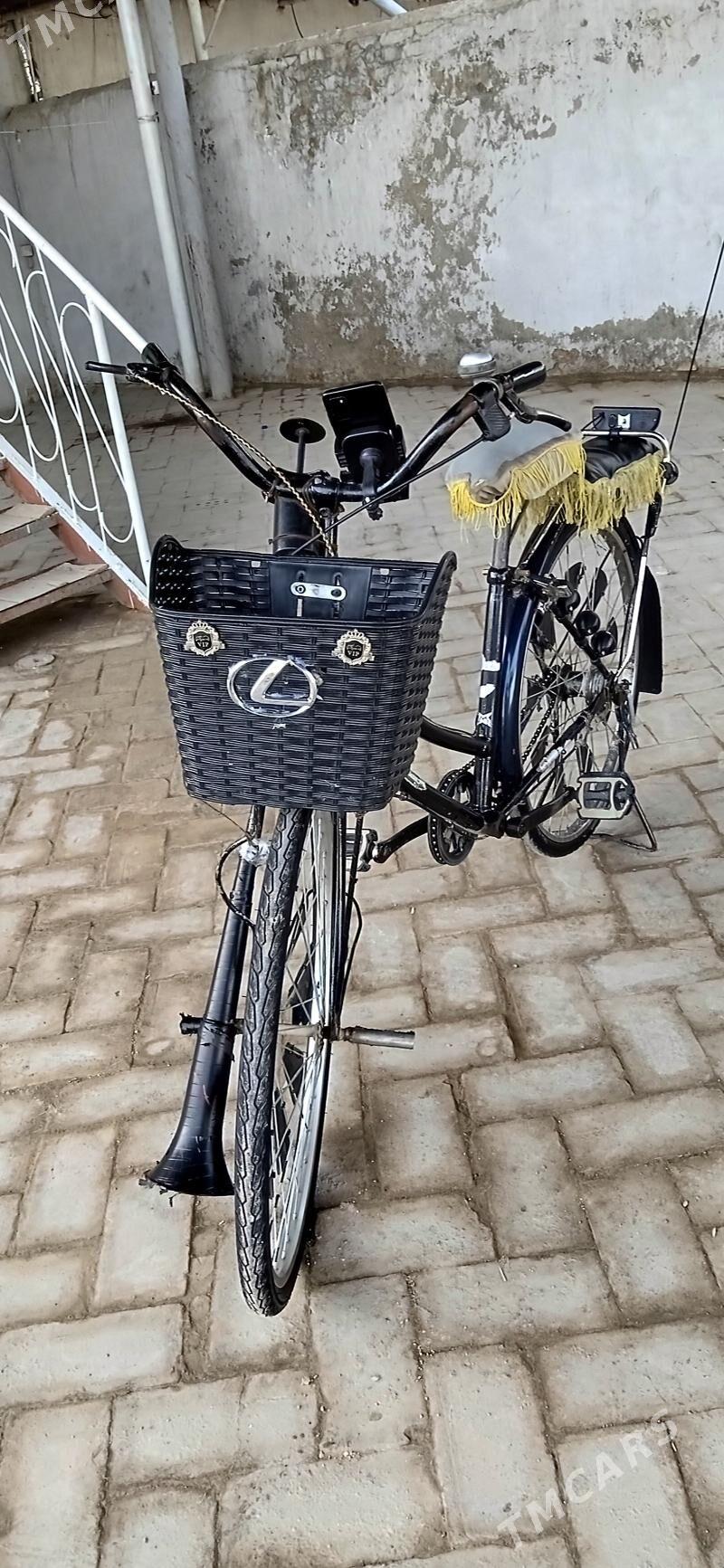 welik - Murgap - img 1