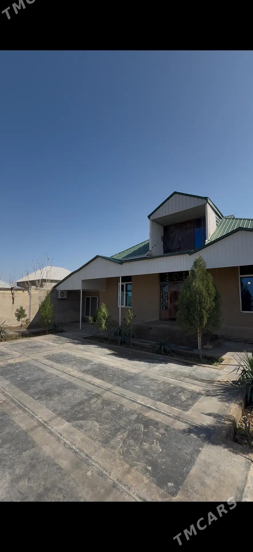 Arenda jay - Mary - img 1