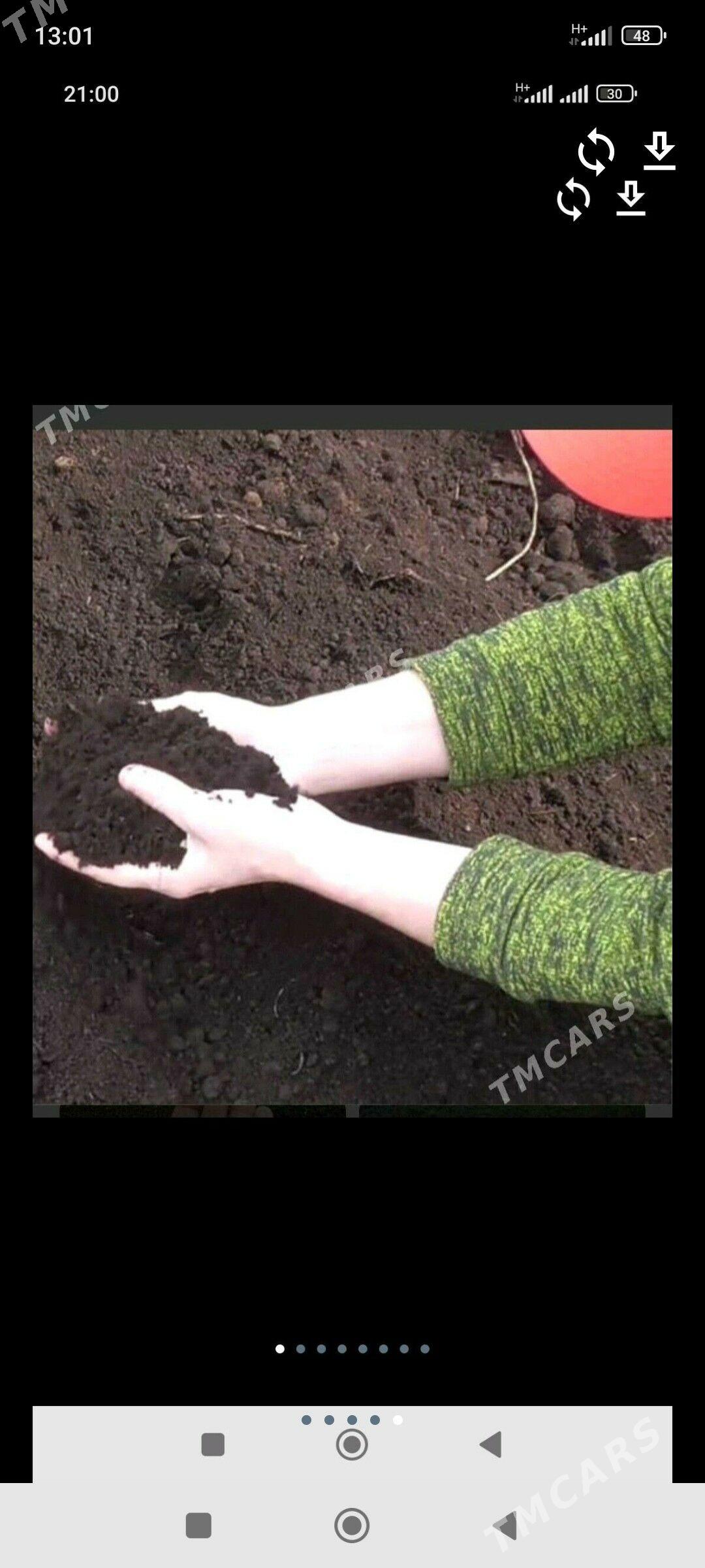 KERPIÇ SEMENT MITI DERS MYTY D - Bedew - img 1