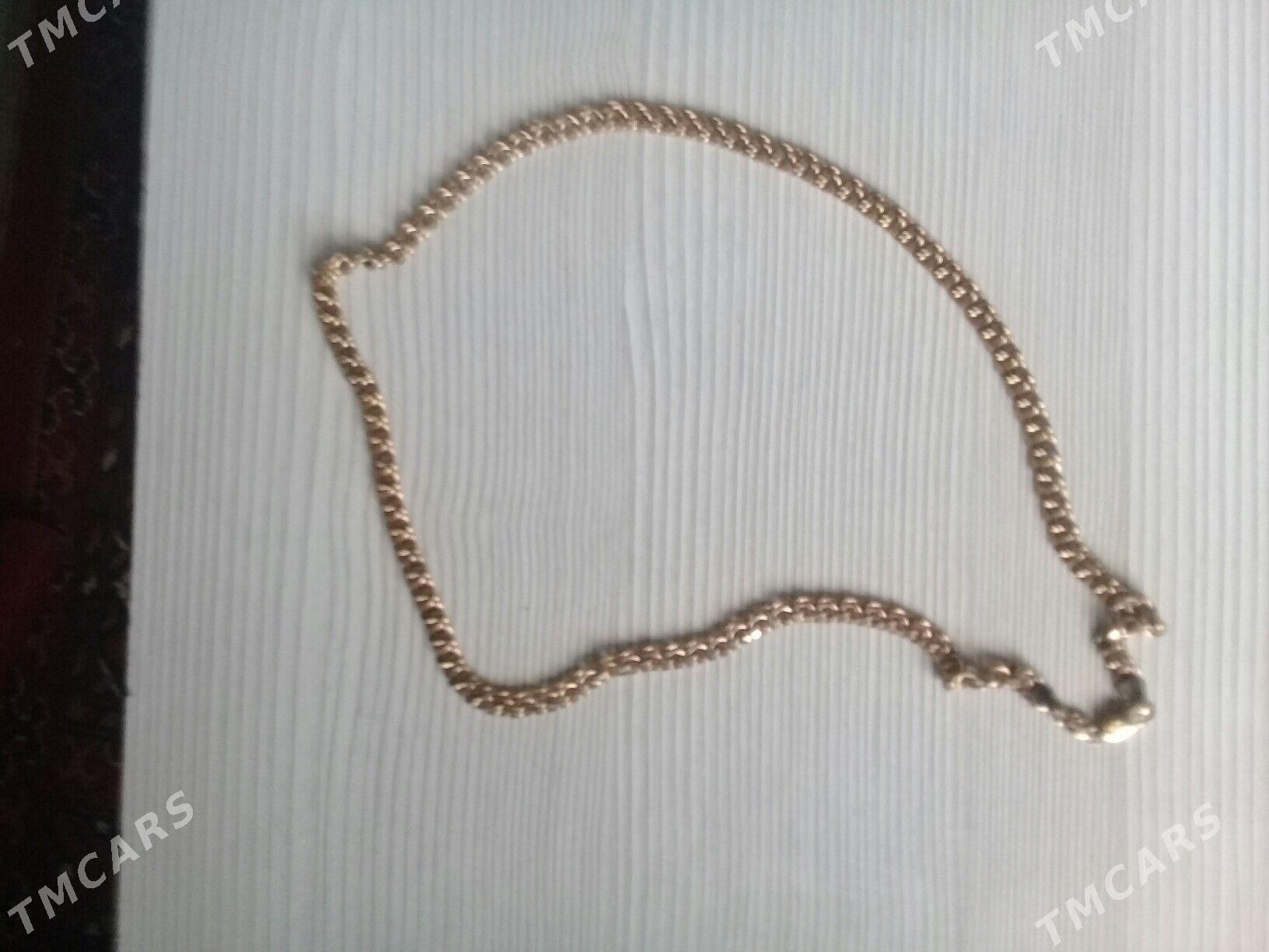 gyzala meñzeş kardinal - Mary - img 1