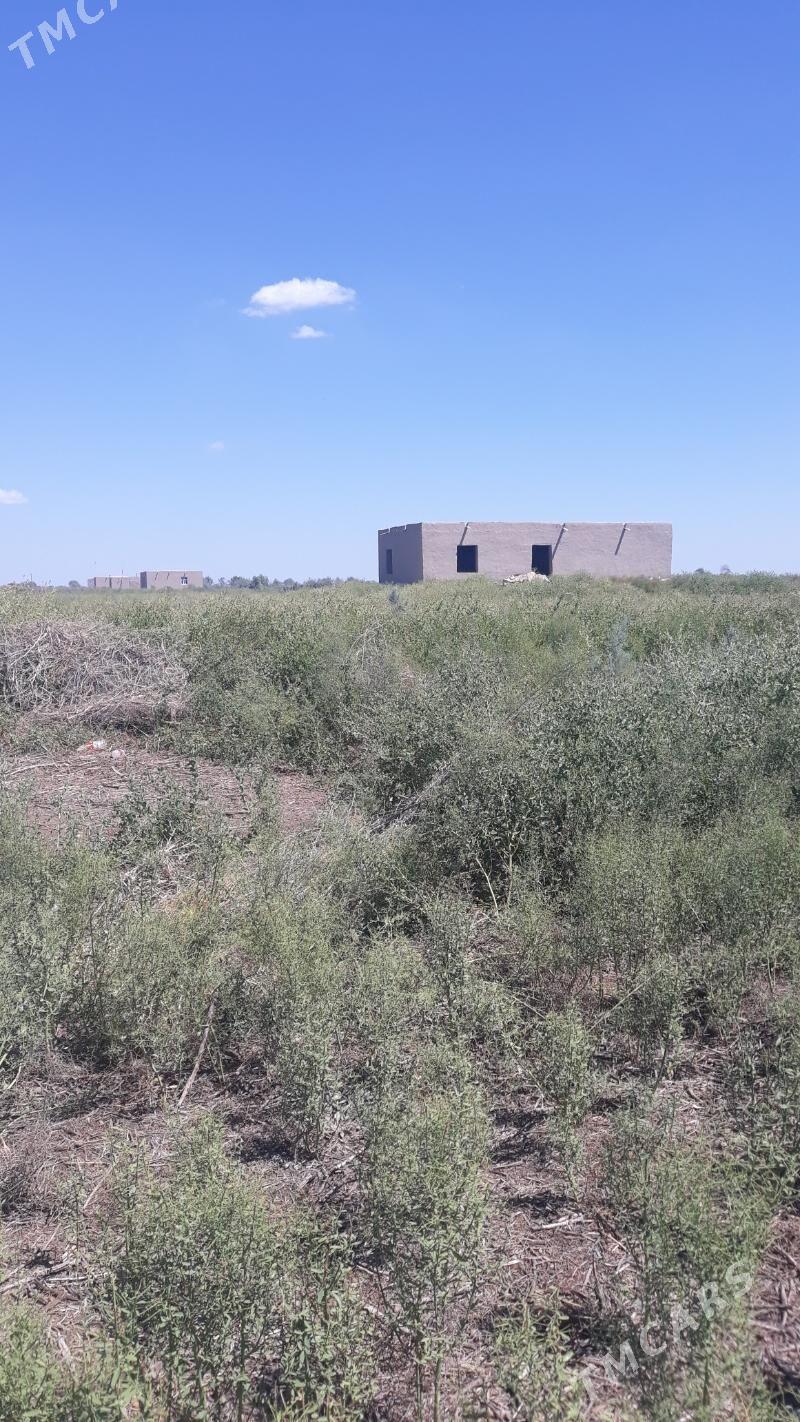 satlyk jay - етр. Туркменбаши - img 1