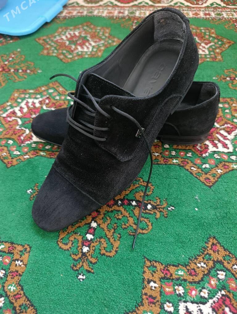 köwiş zamyż - Ашхабад - img 1