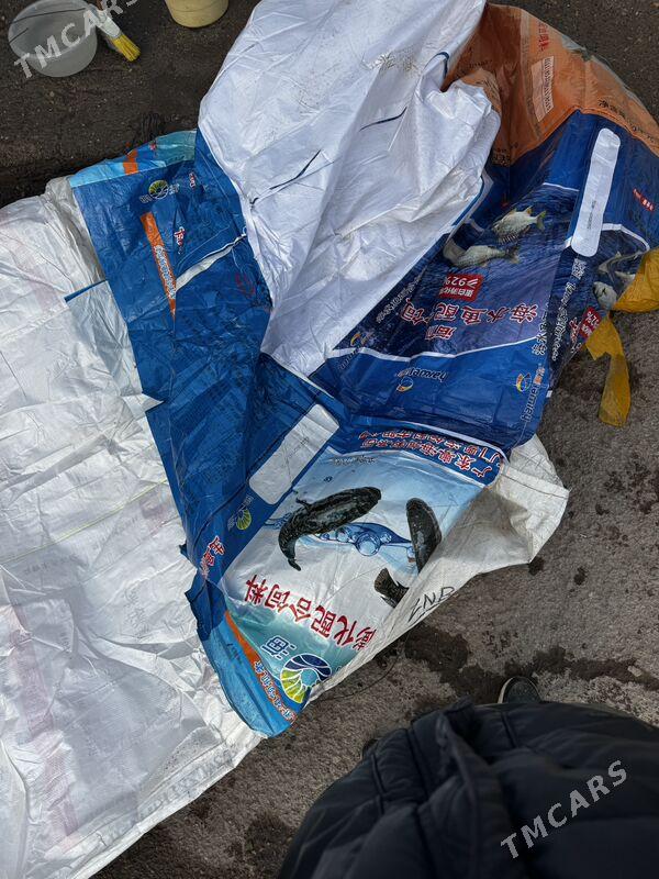 Halta - Дашогуз - img 1