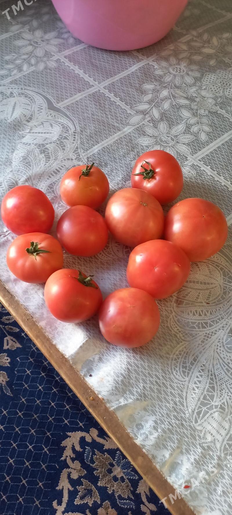 pamidor optom - Daşoguz - img 1