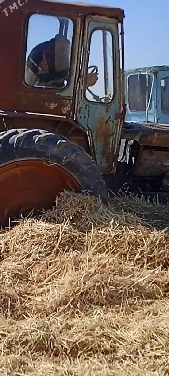 MTZ T-28 2023 - 15 000 TMT - Гороглы (Тагта) - img 1