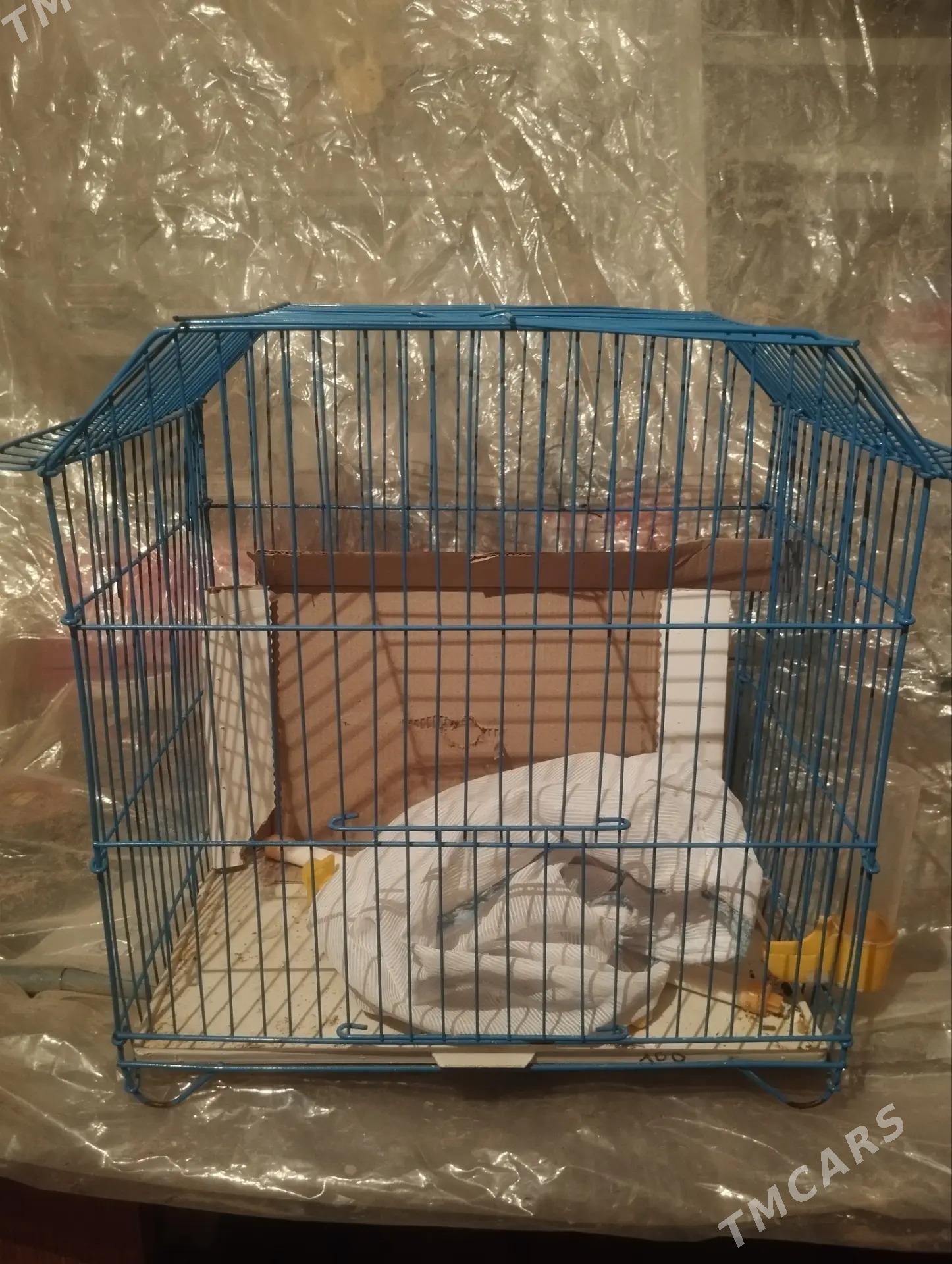 Клетка на обмен - Туркменабат - img 1