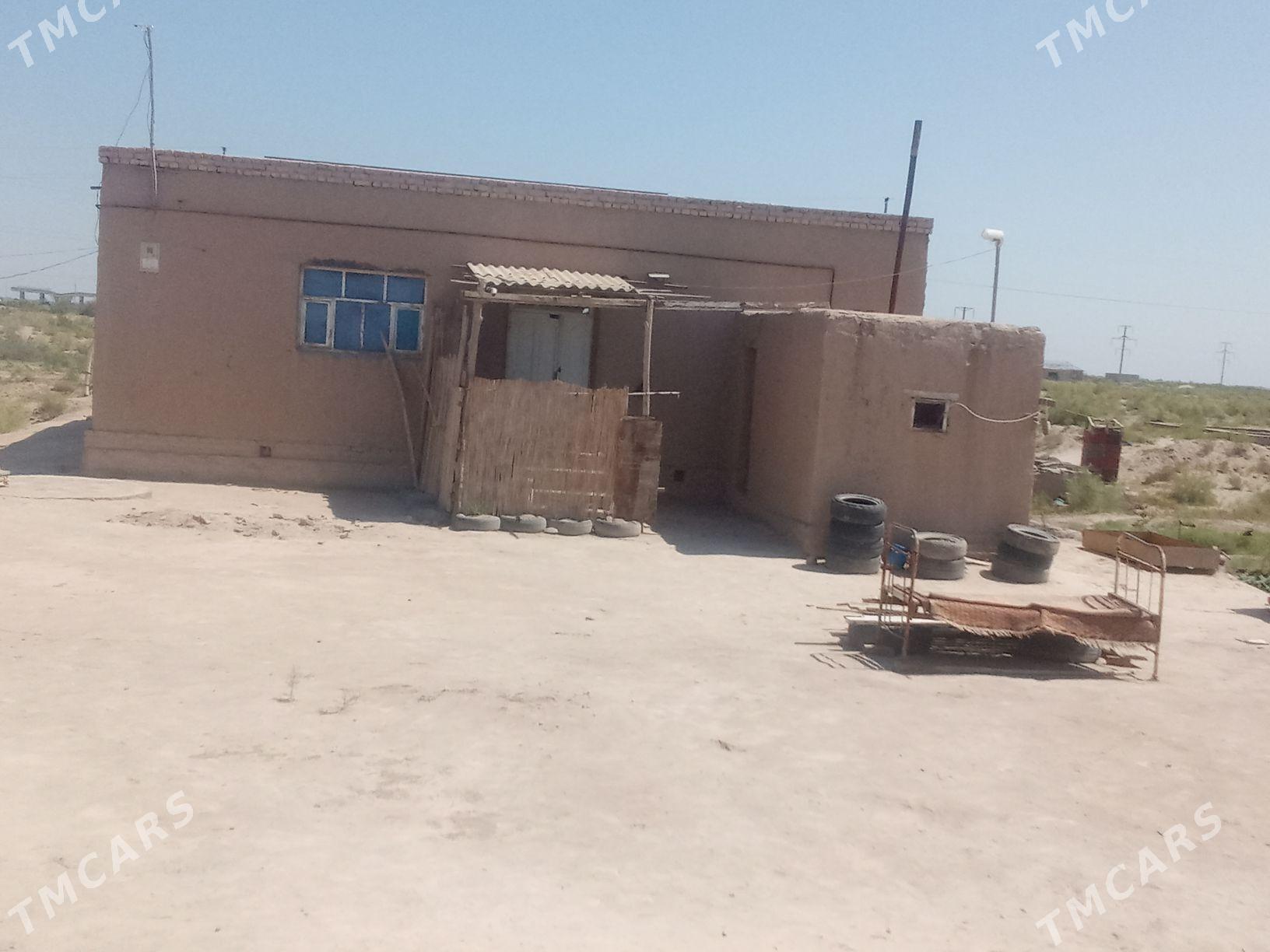 yaşayyş jay - Кёнеургенч - img 1