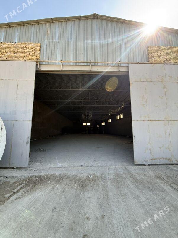 arenda - Дашогуз - img 1