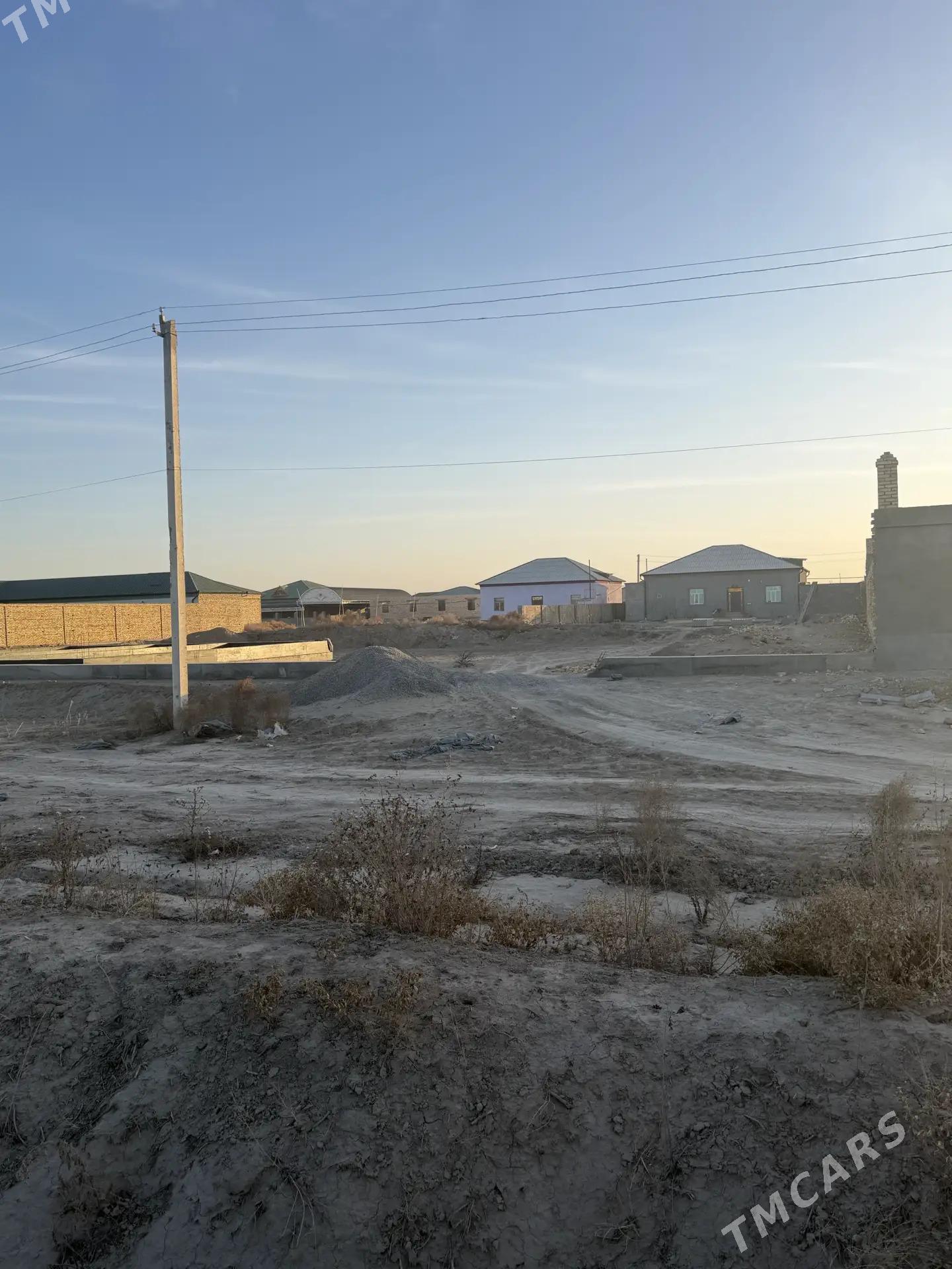 At capar - Дашогуз - img 1