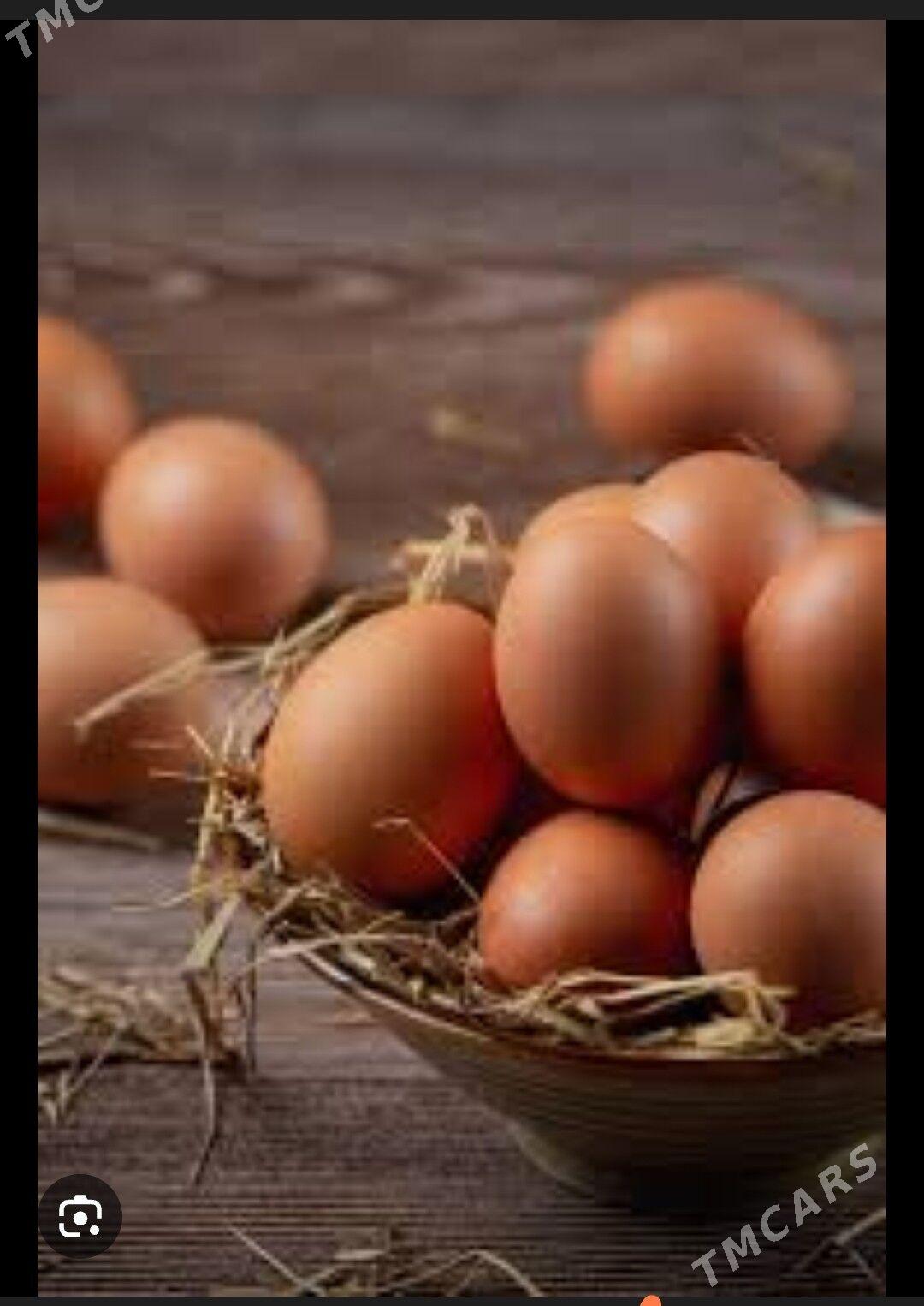 Brama GOLD - Бахарден - img 1