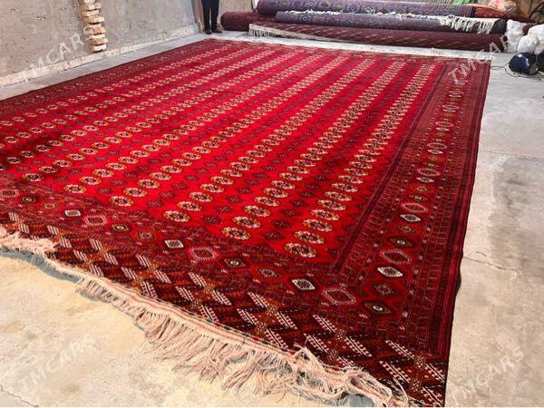 5.6 el haly - Бахарден - img 1