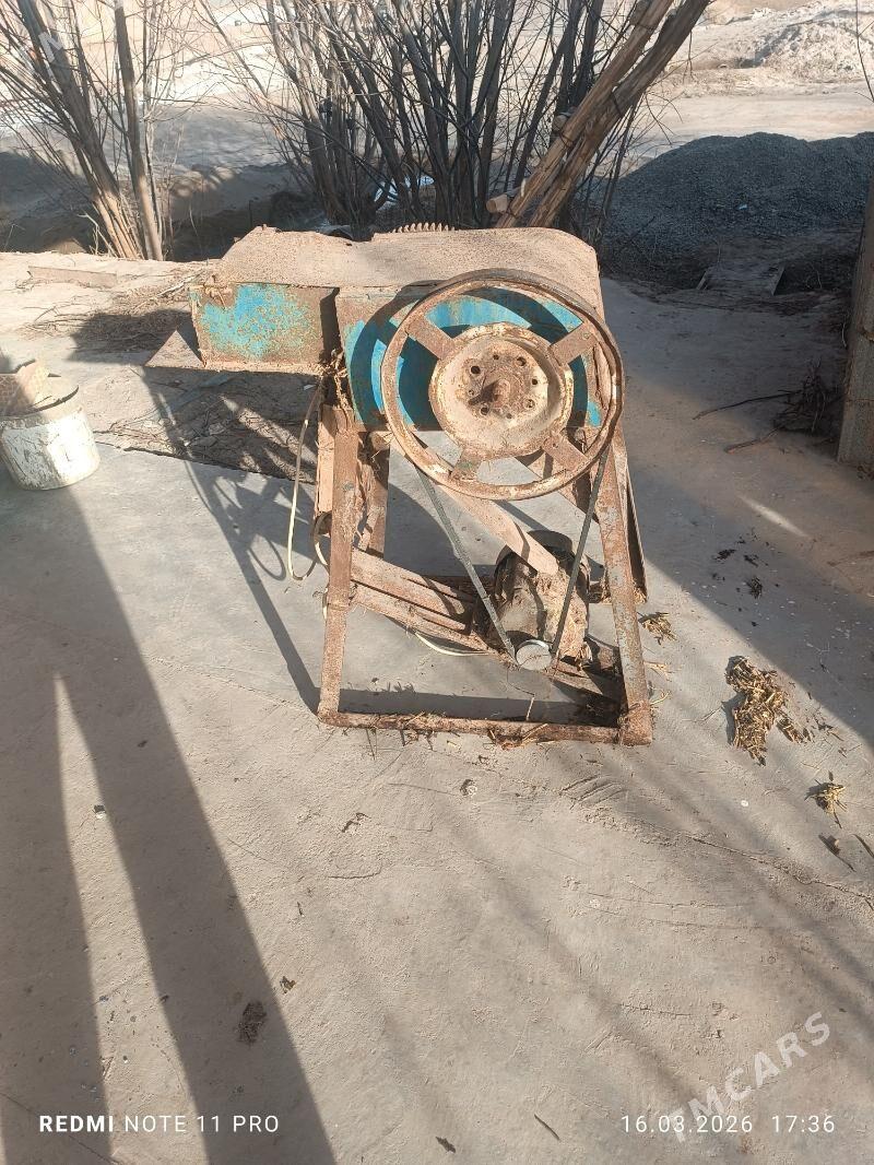 ot uweyan stanok - Köneürgenç - img 1