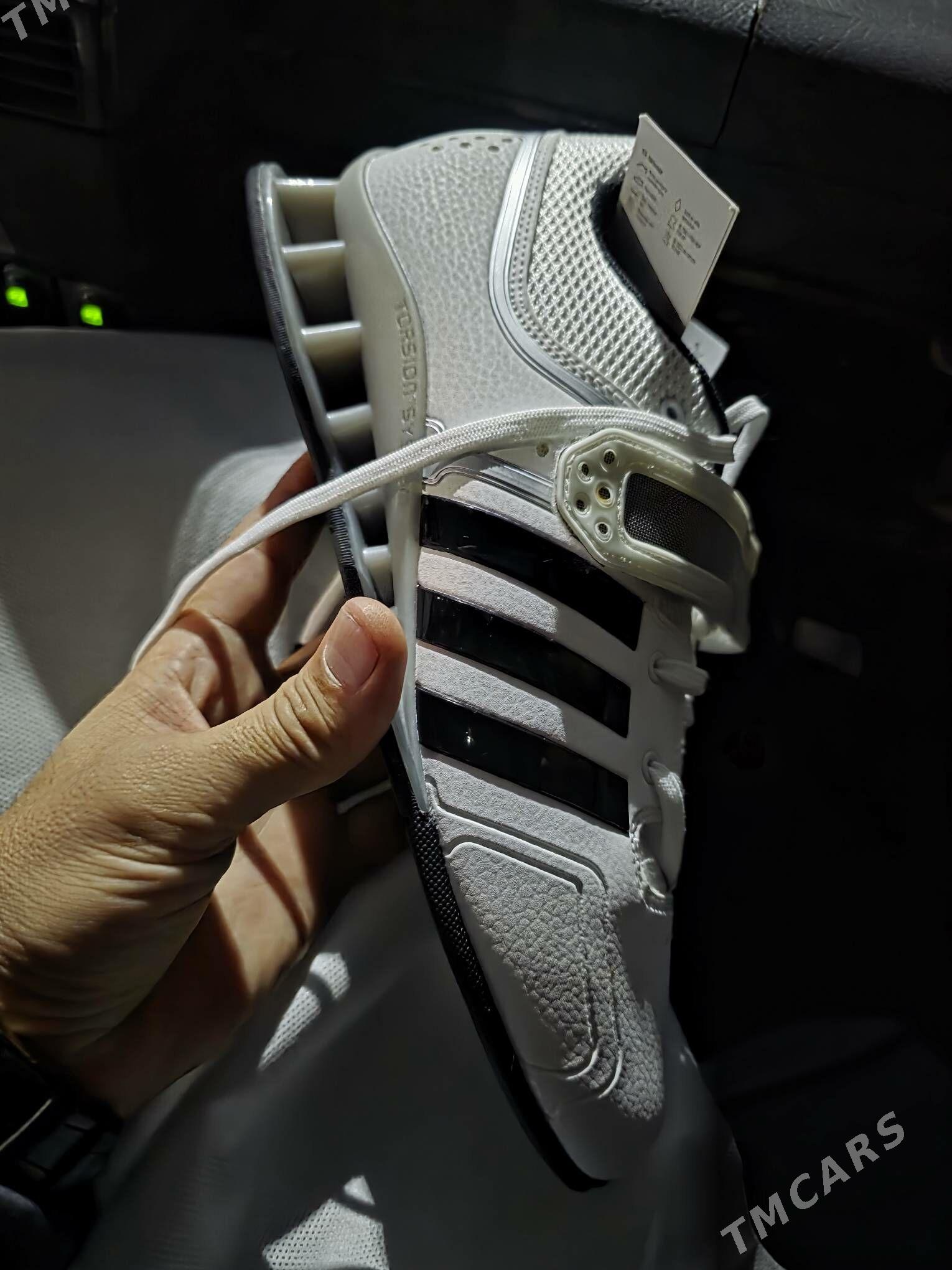 Ştangitka krasowka - Aşgabat - img 1