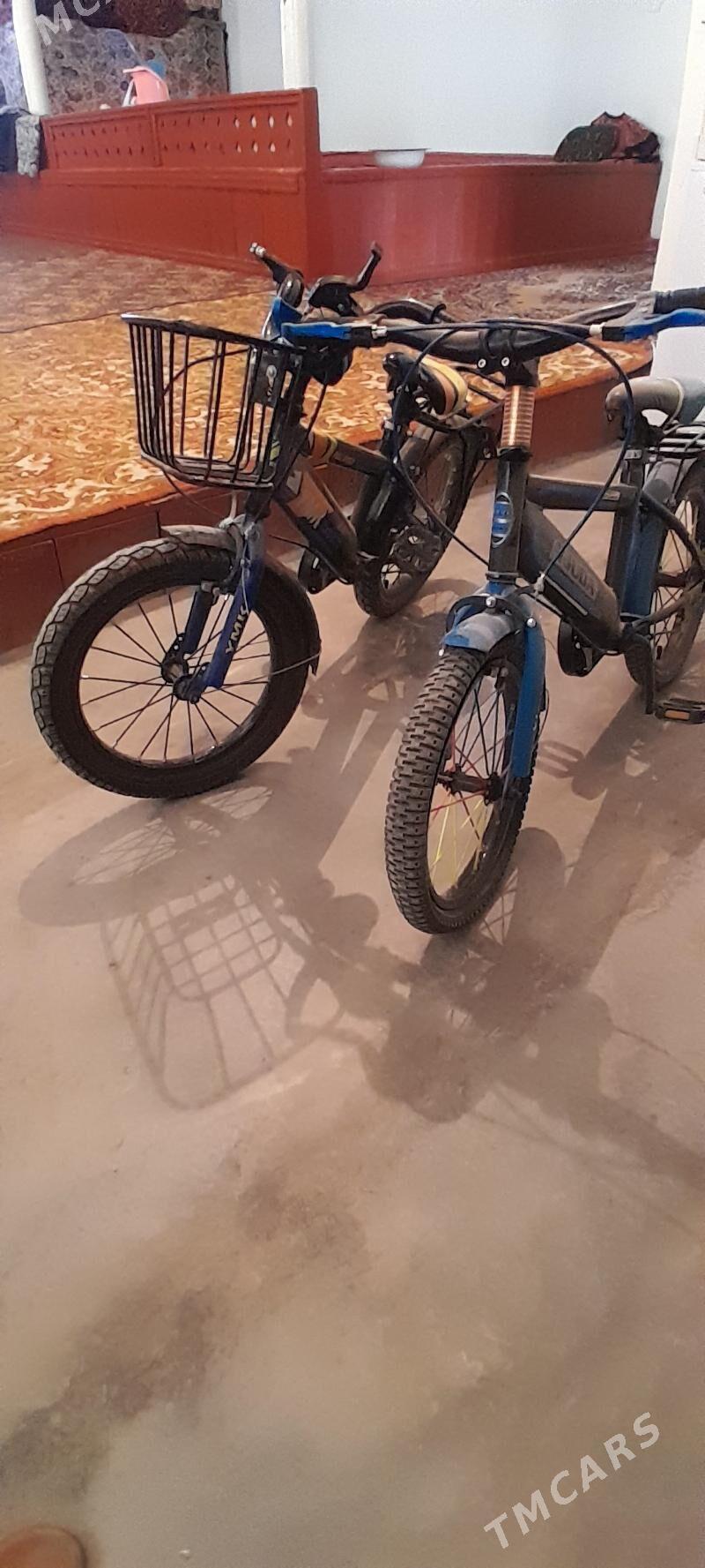 Welosopet Tigr - Дарганата - img 1