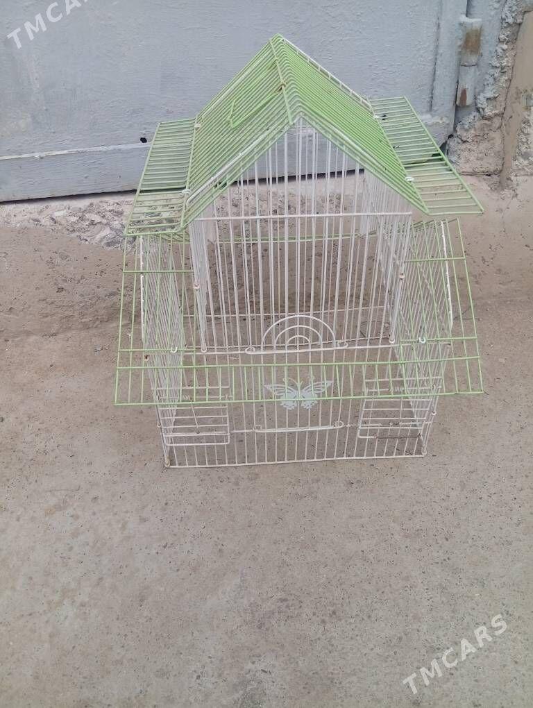 gus ketek - Bäherden - img 1