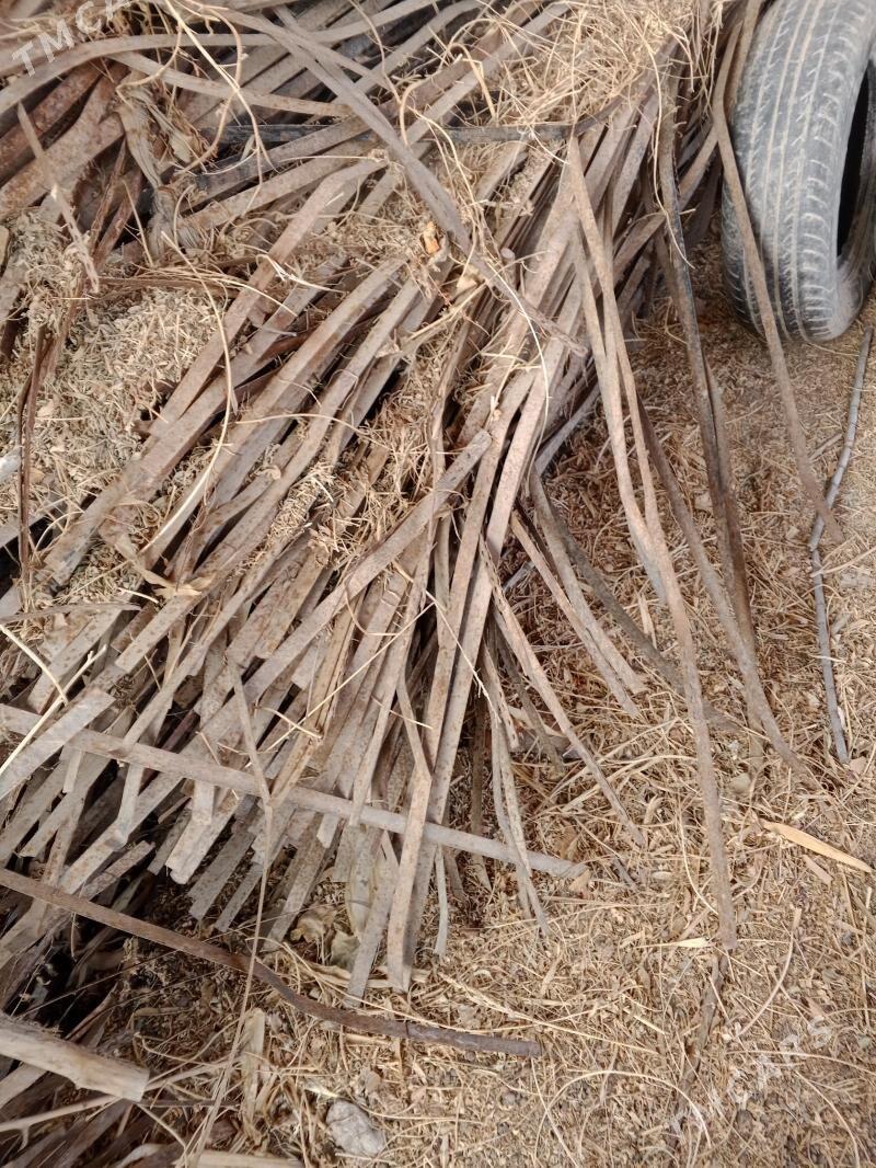 Pagta kip lenta - Халач - img 1