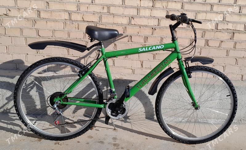 Turkmenistan tigir - Babadaýhan - img 1