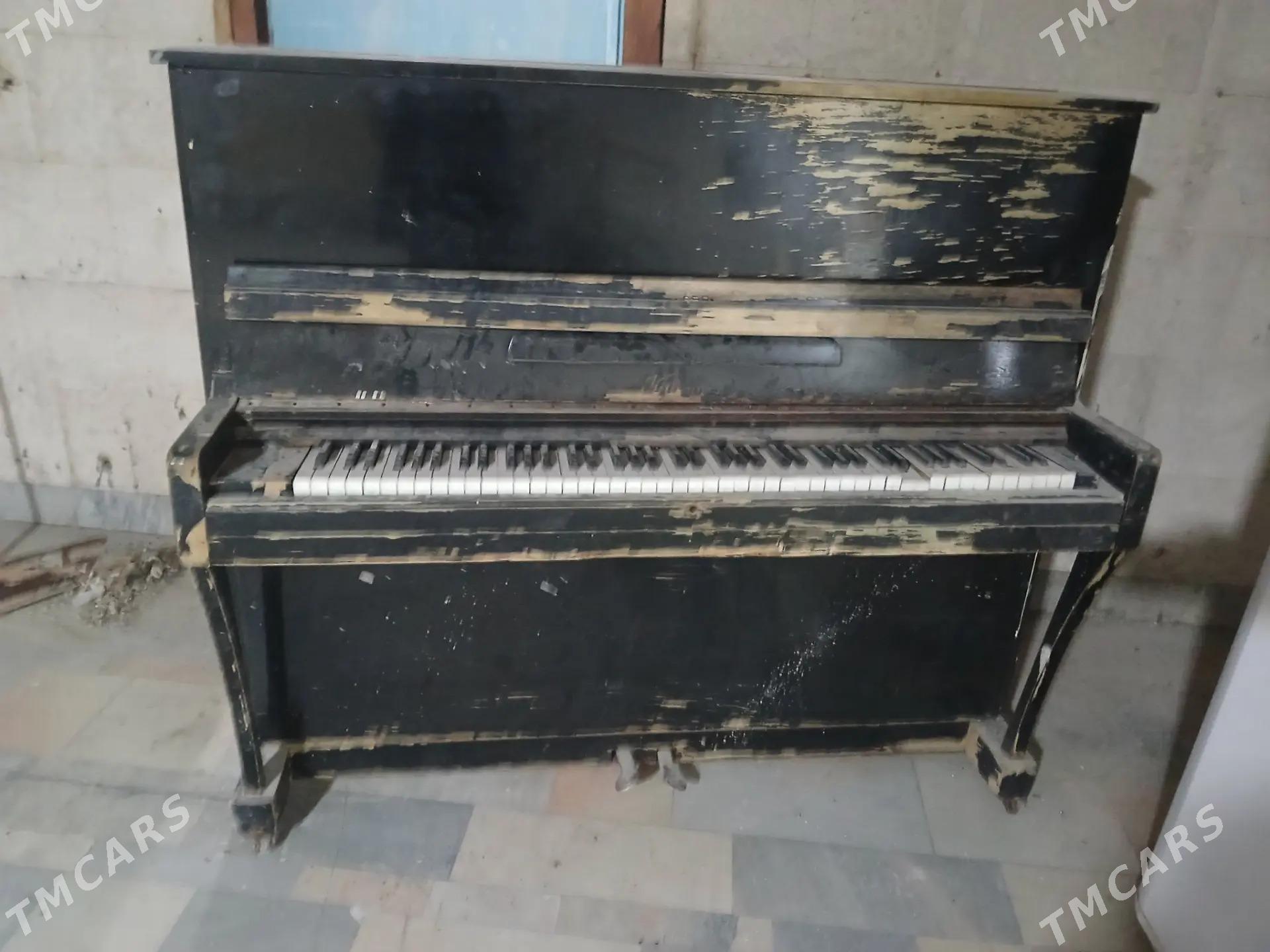 piyanino - Aşgabat - img 1