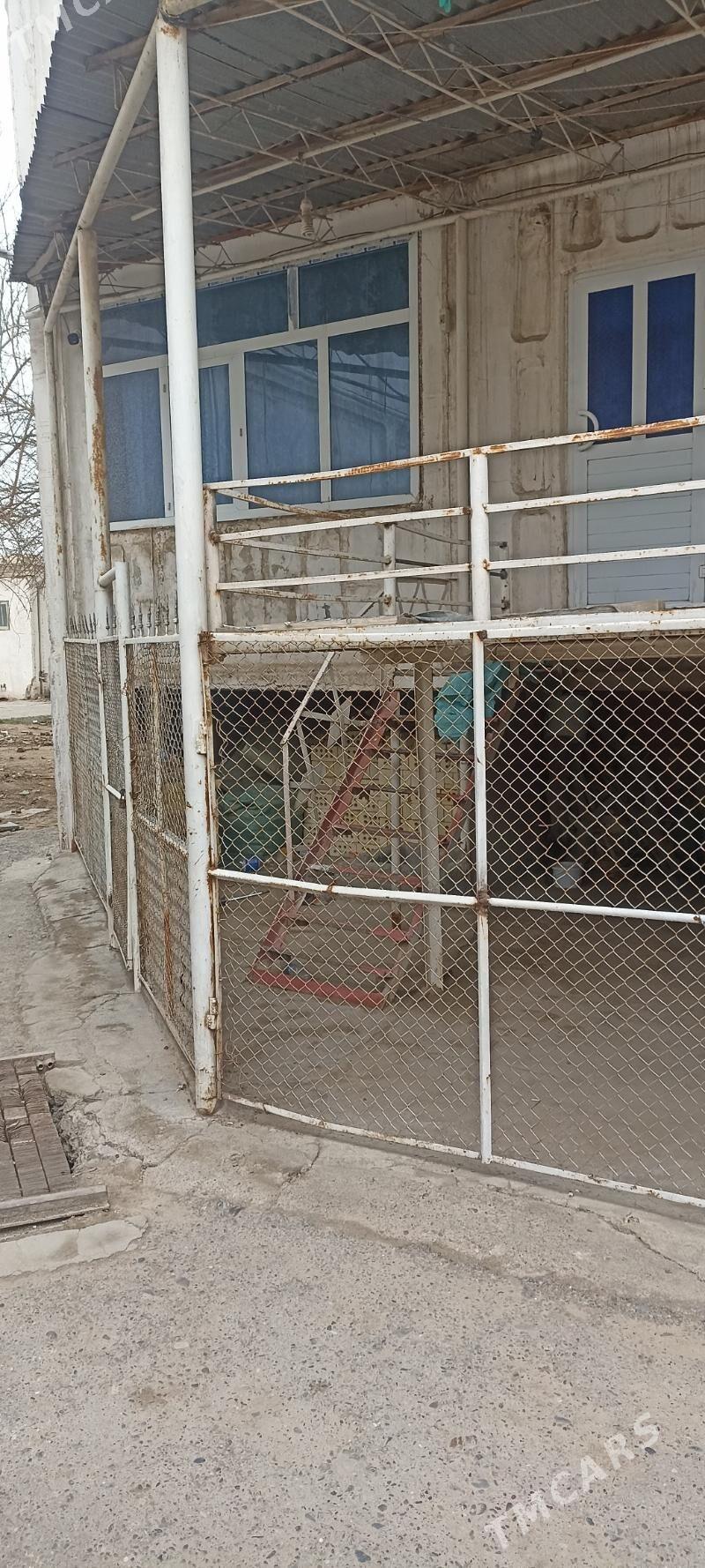 Tapçan demirden . - Мары - img 1