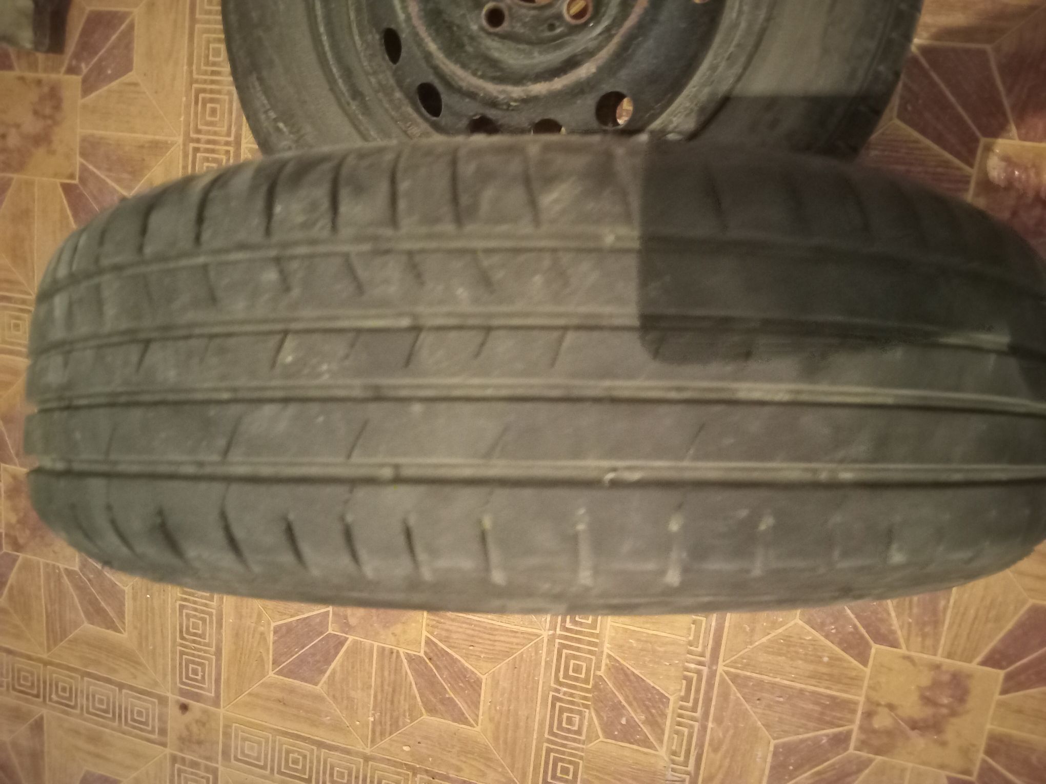 тигир 1 200 TMT - Gyzylarbat - img 1