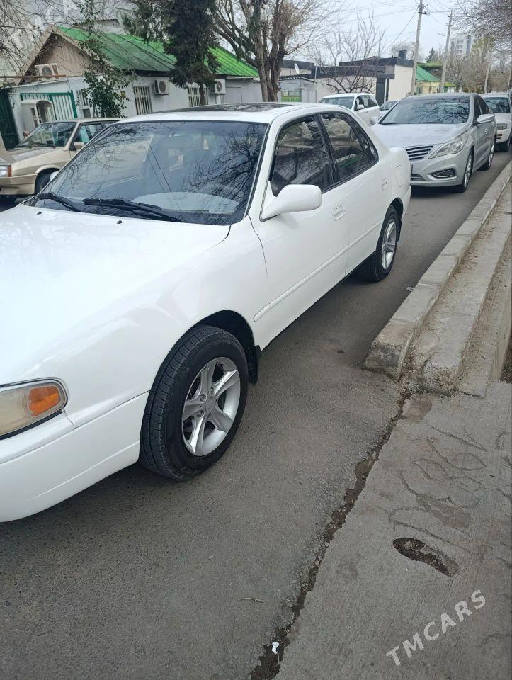 Toyota Camry 1994 - 110 000 TMT - Bäherden - img 1