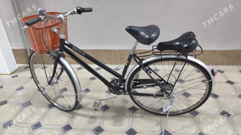 Tigir Ýapoşga welik - Херрикгала - img 1