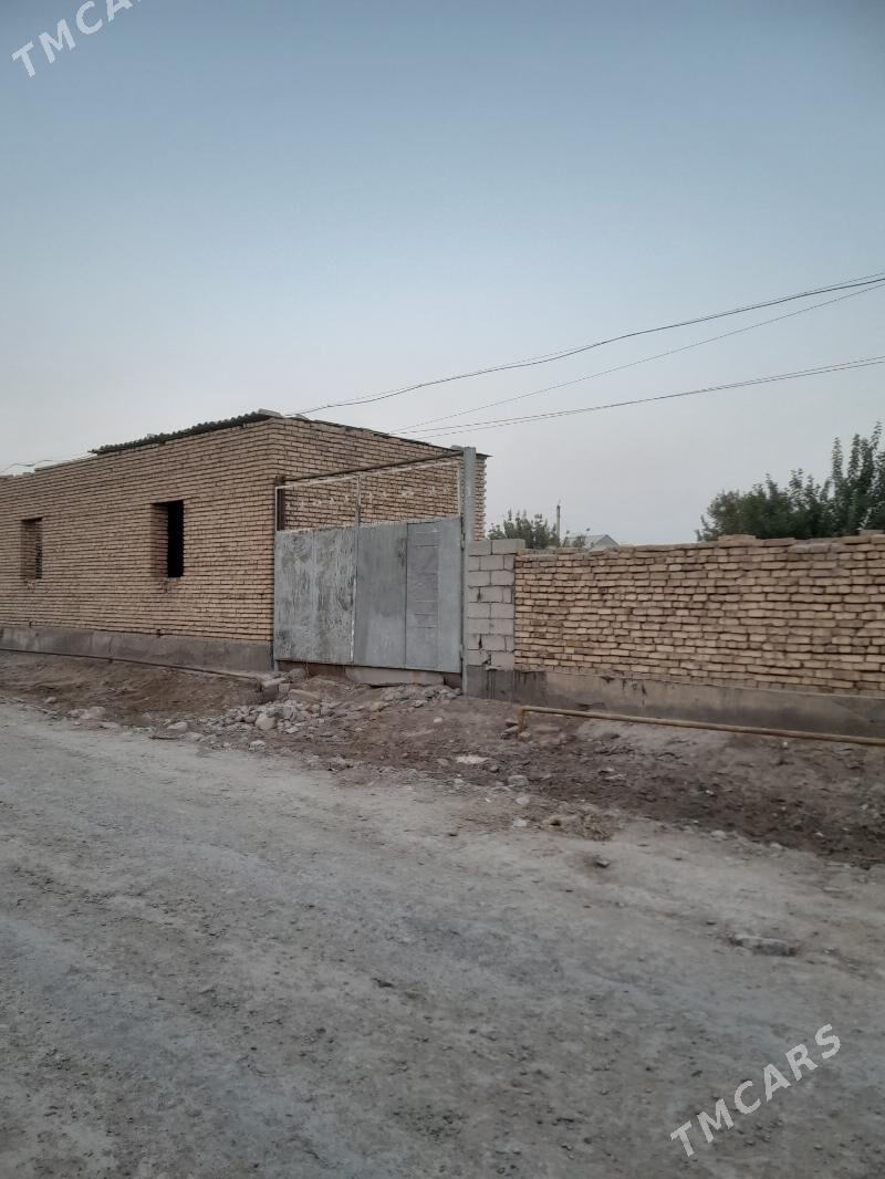 Tejen satlyk jay - Tejen - img 1