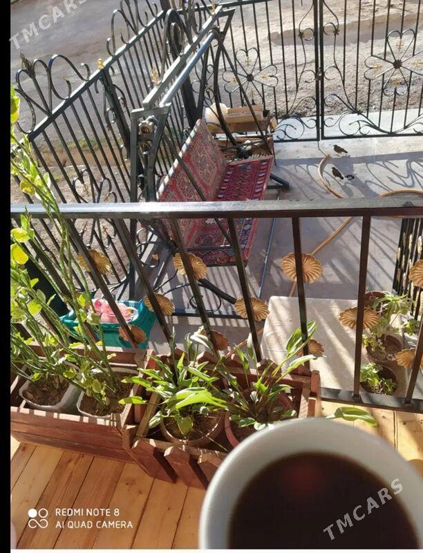 nawes resotka kacelya lesnisa - Мары - img 1