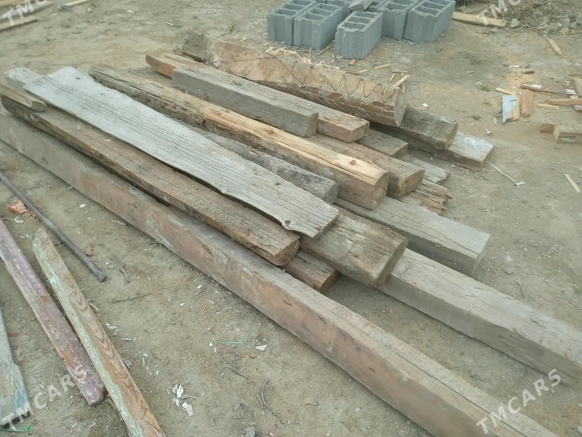 agaclar - Türkmenbaşy - img 1