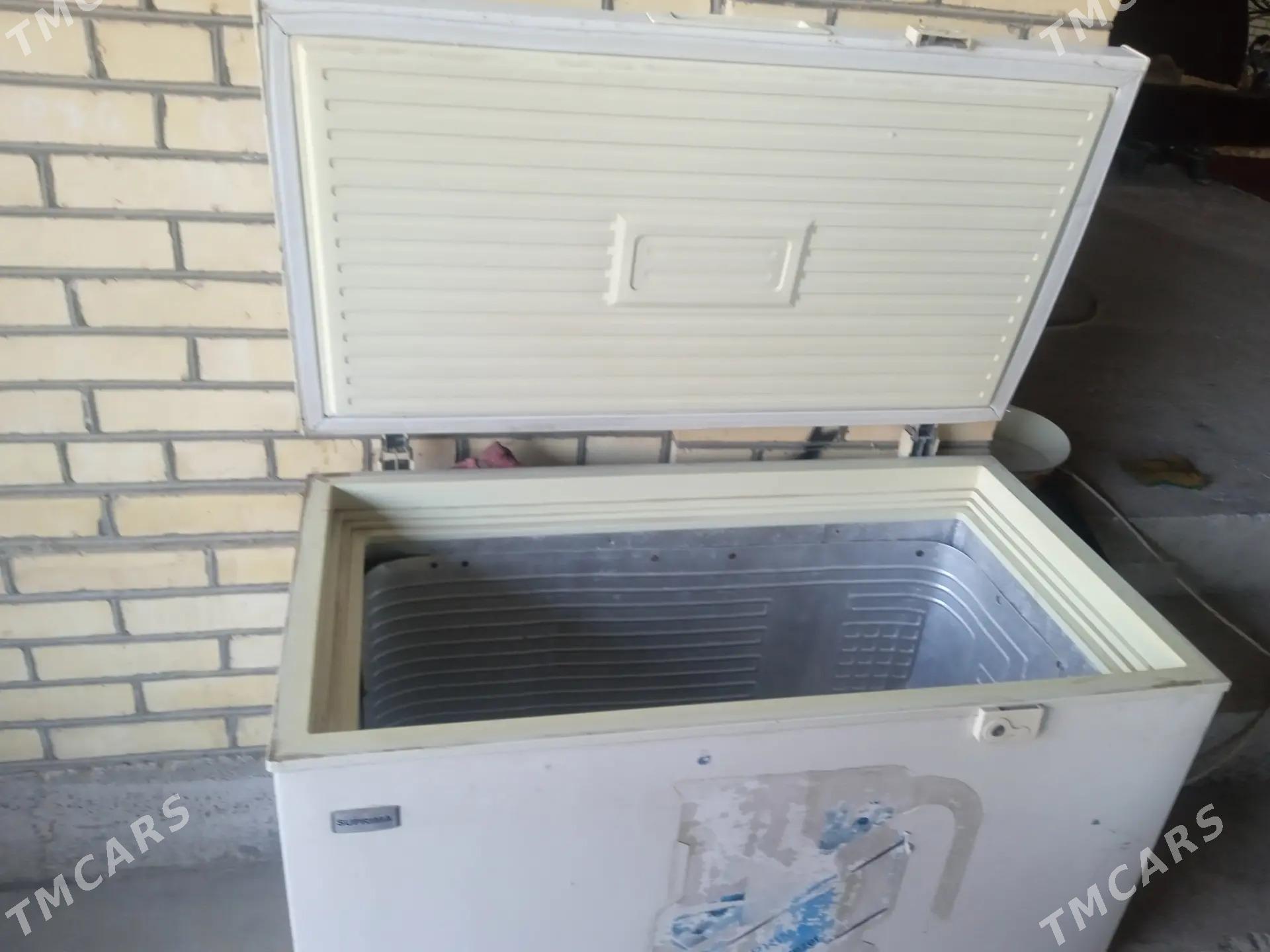 Haladinik marazilnik - Mary - img 1