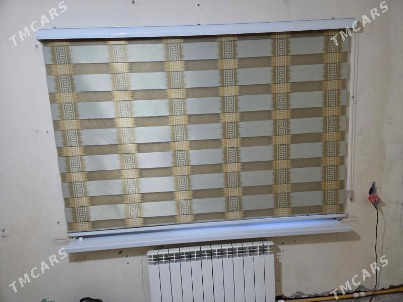 žalýuslar - Çoganly - img 1