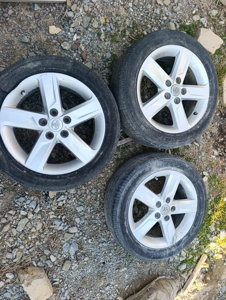 Palta diska ,3 stuk 2 000 TMT - Бахарден - img 1