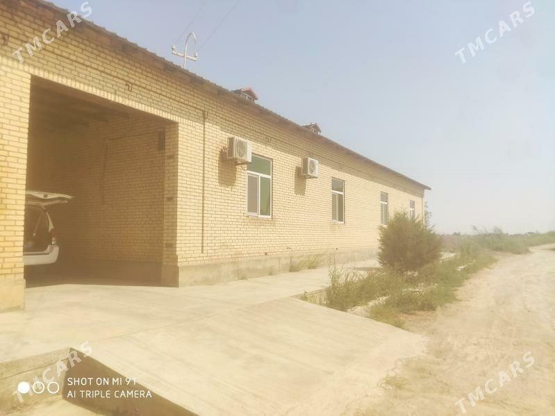 ховлы жай - Dänew - img 1