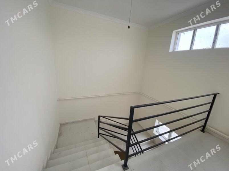 jay kotej - Bäherden - img 1