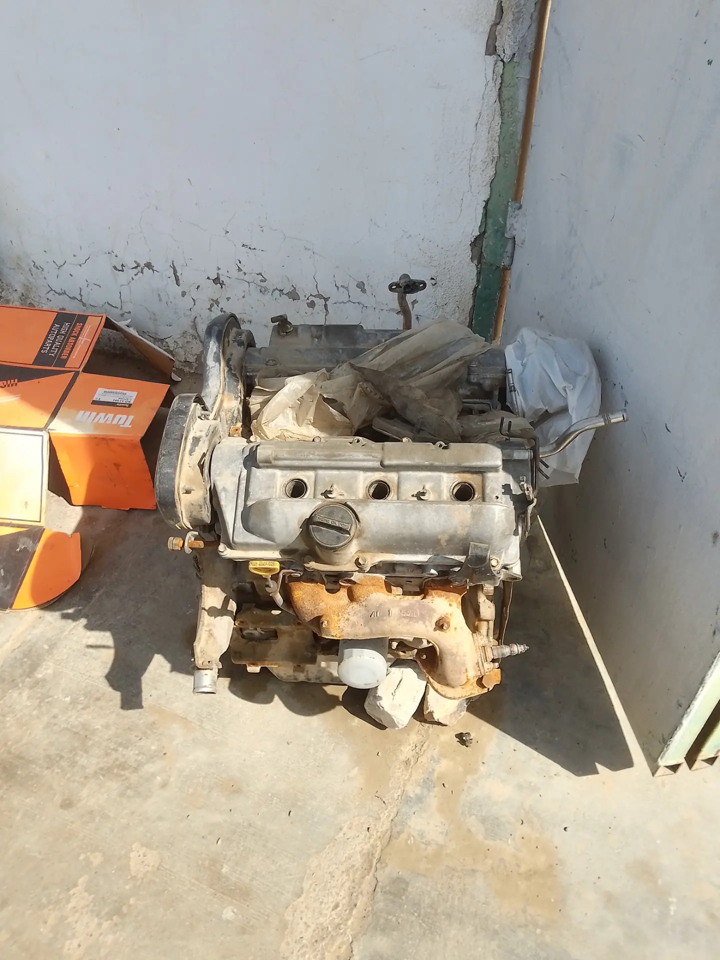 mator 100 TMT - Sakarçäge - img 1