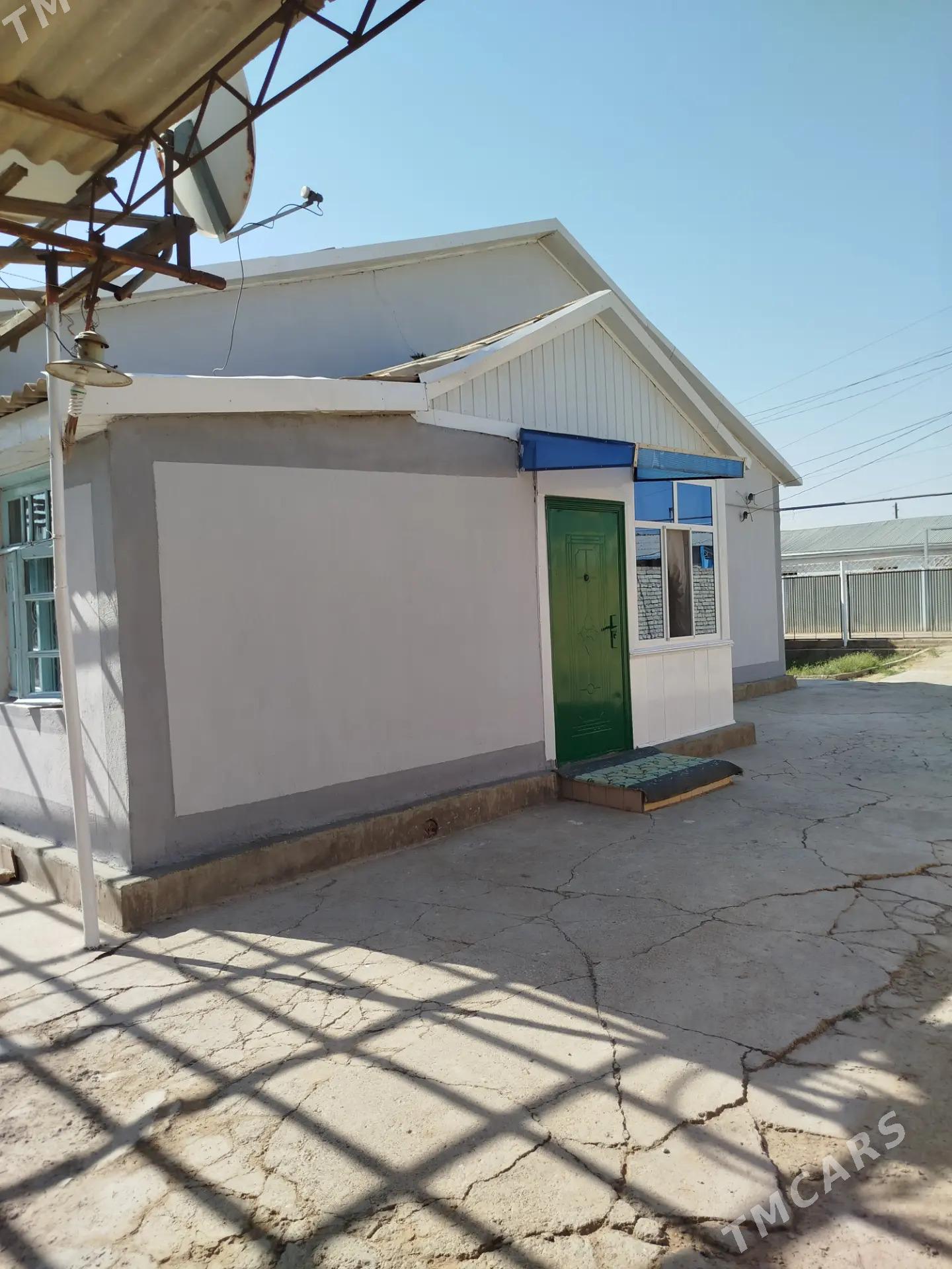 Satlyk Howly Jay - Mary - img 1