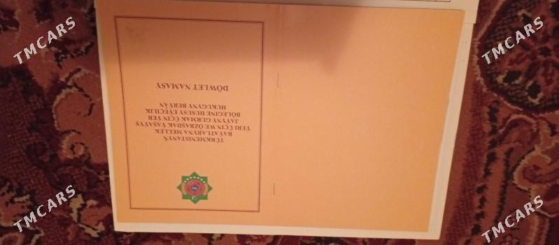 Eyesindan satlyan jay - Daşoguz - img 1