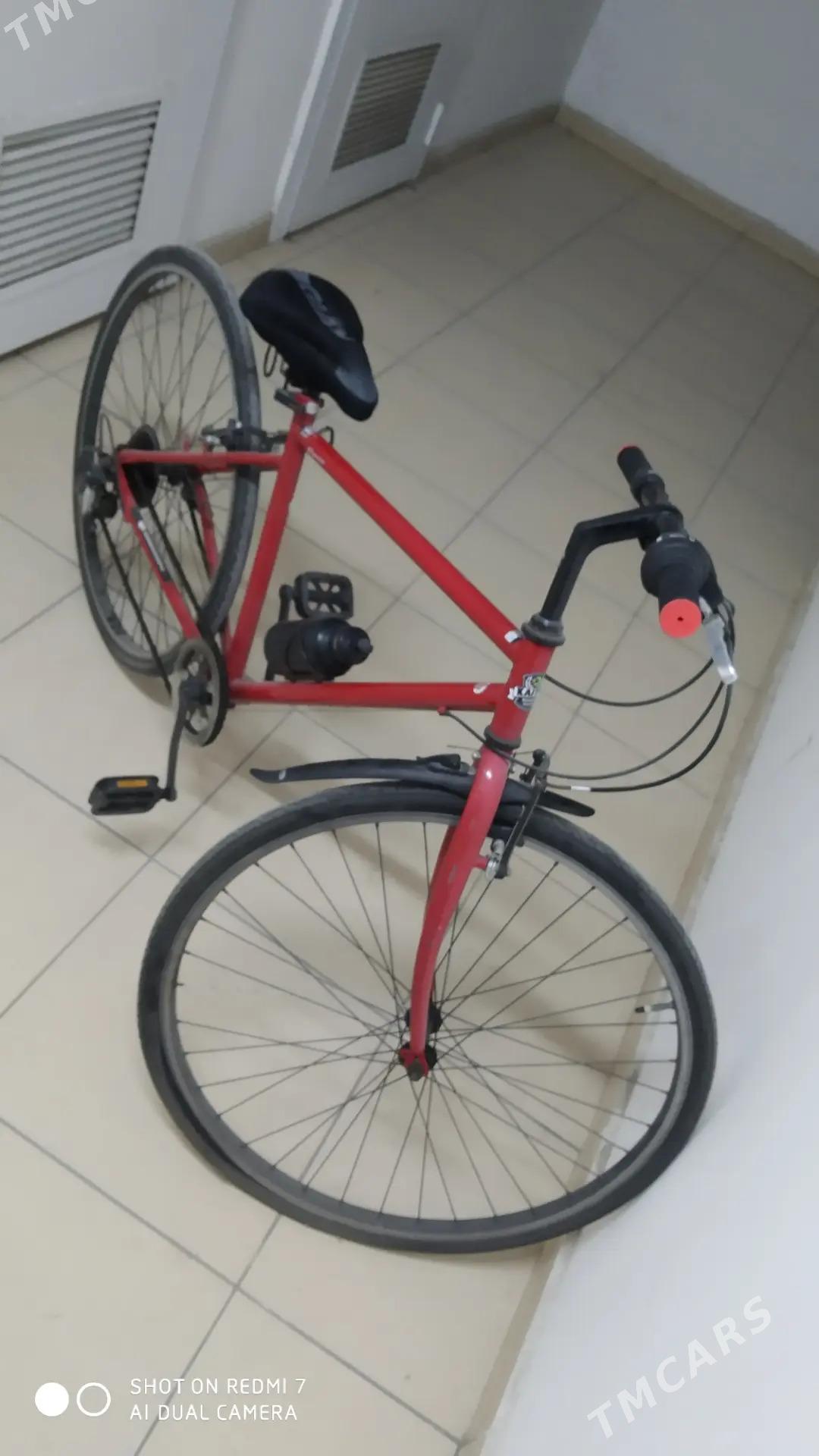 Tigir Spartiwnyy - Aşgabat - img 1