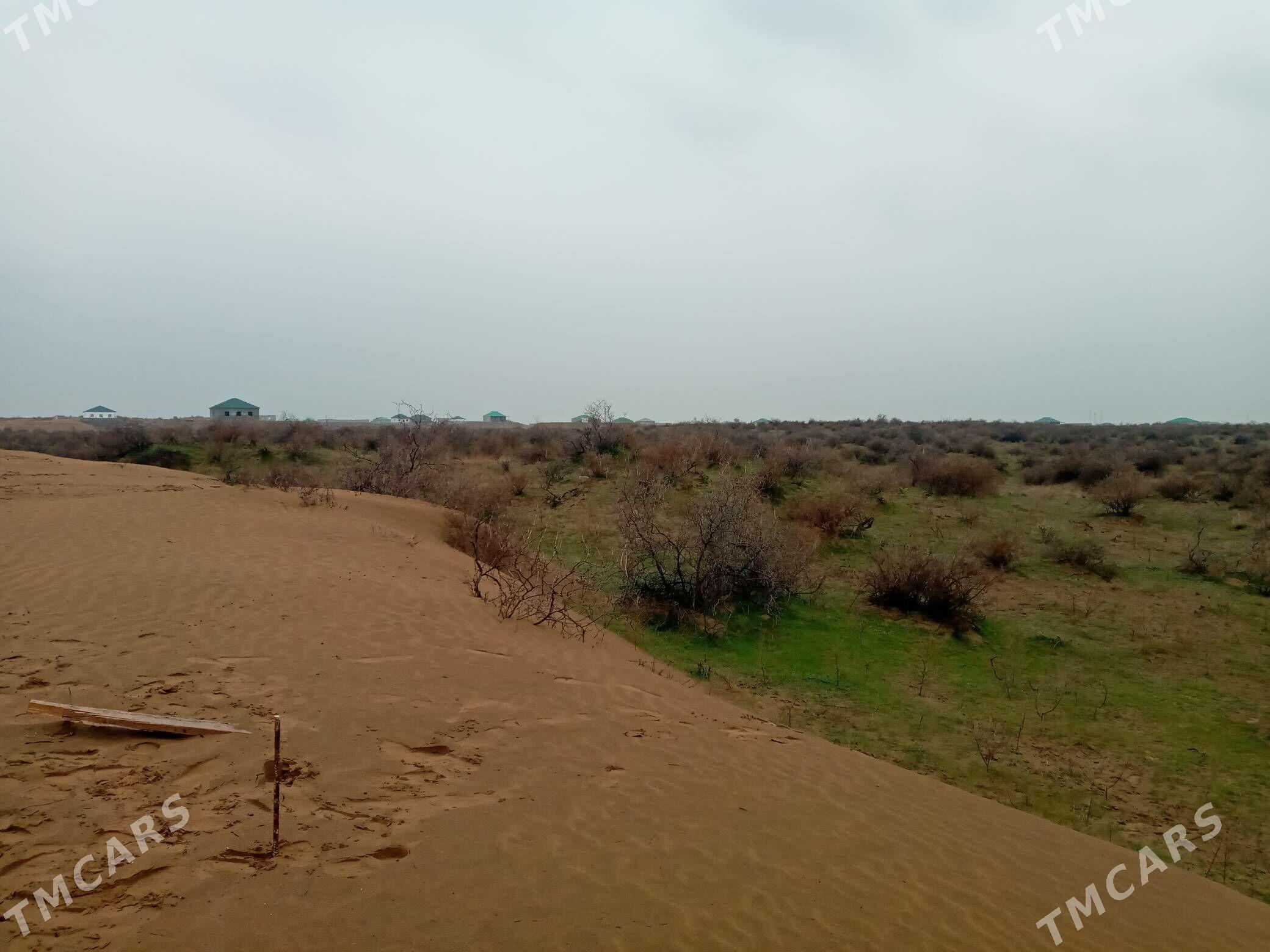 Onally ýerleşýän yeri - Änew - img 1