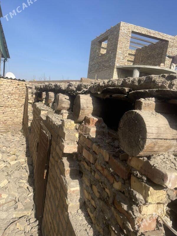 agaç / дерево - Türkmenabat - img 1