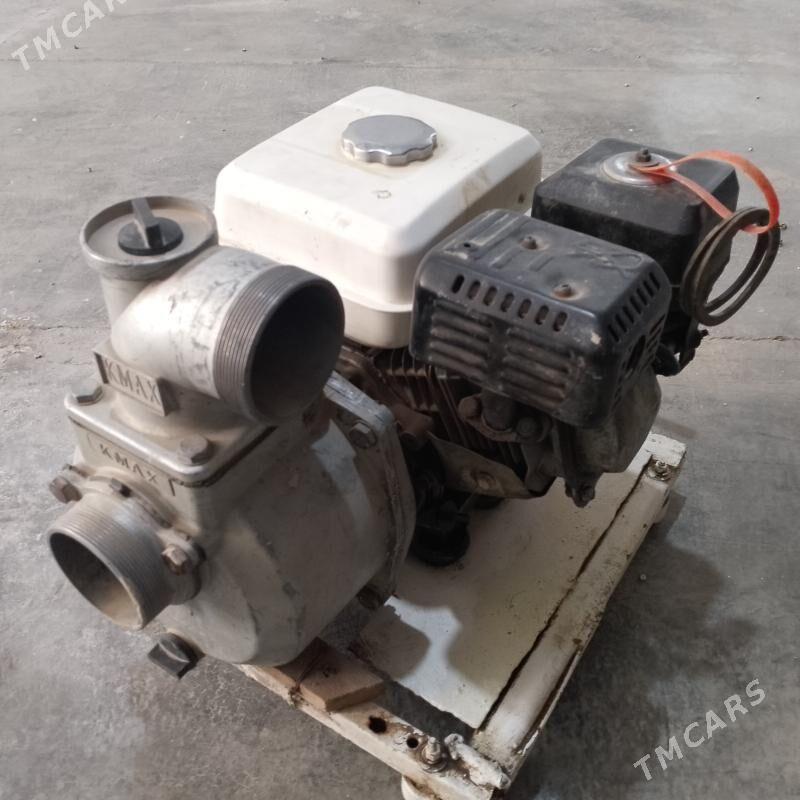 Suw nasos - Сакарчага - img 1