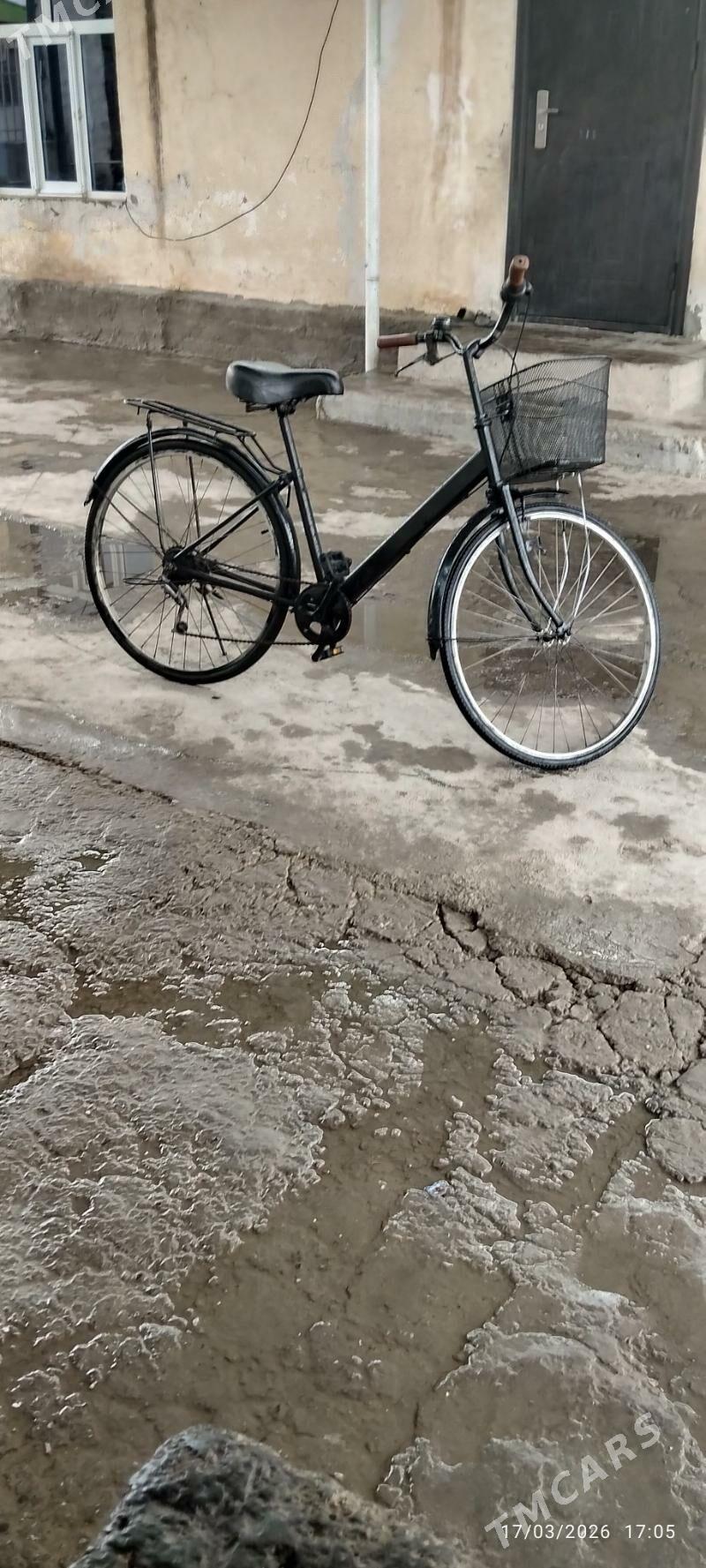 tigir - Бузмеин - img 1