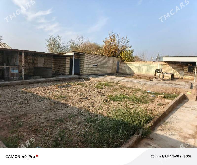 Mary saher - Мары - img 1