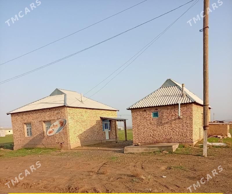 Gyssagly - Tagtabazar - img 1