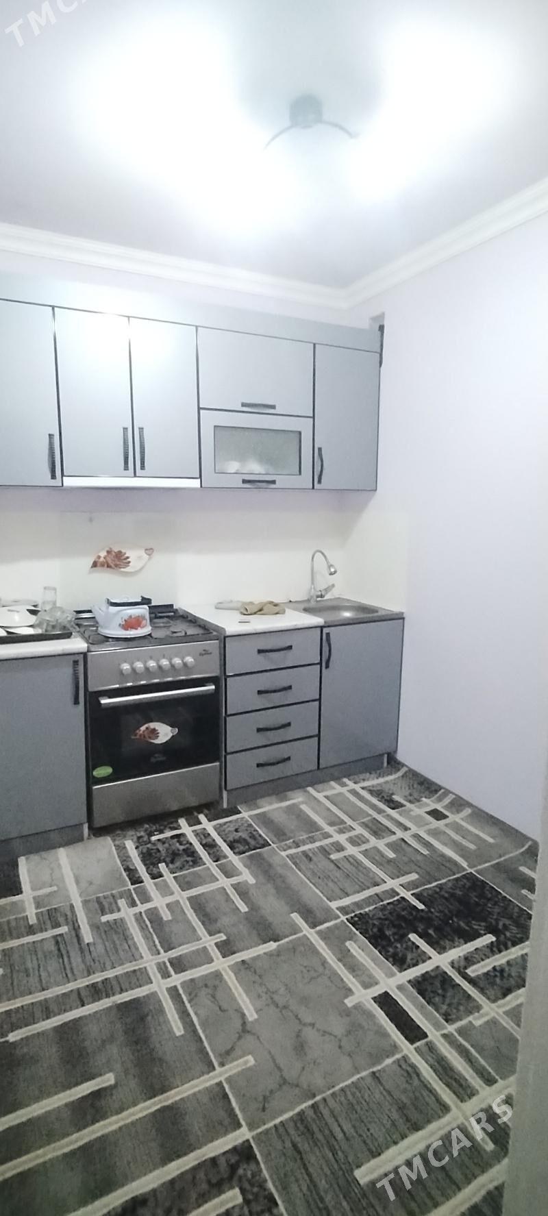 Satlyk jay - Mary - img 1