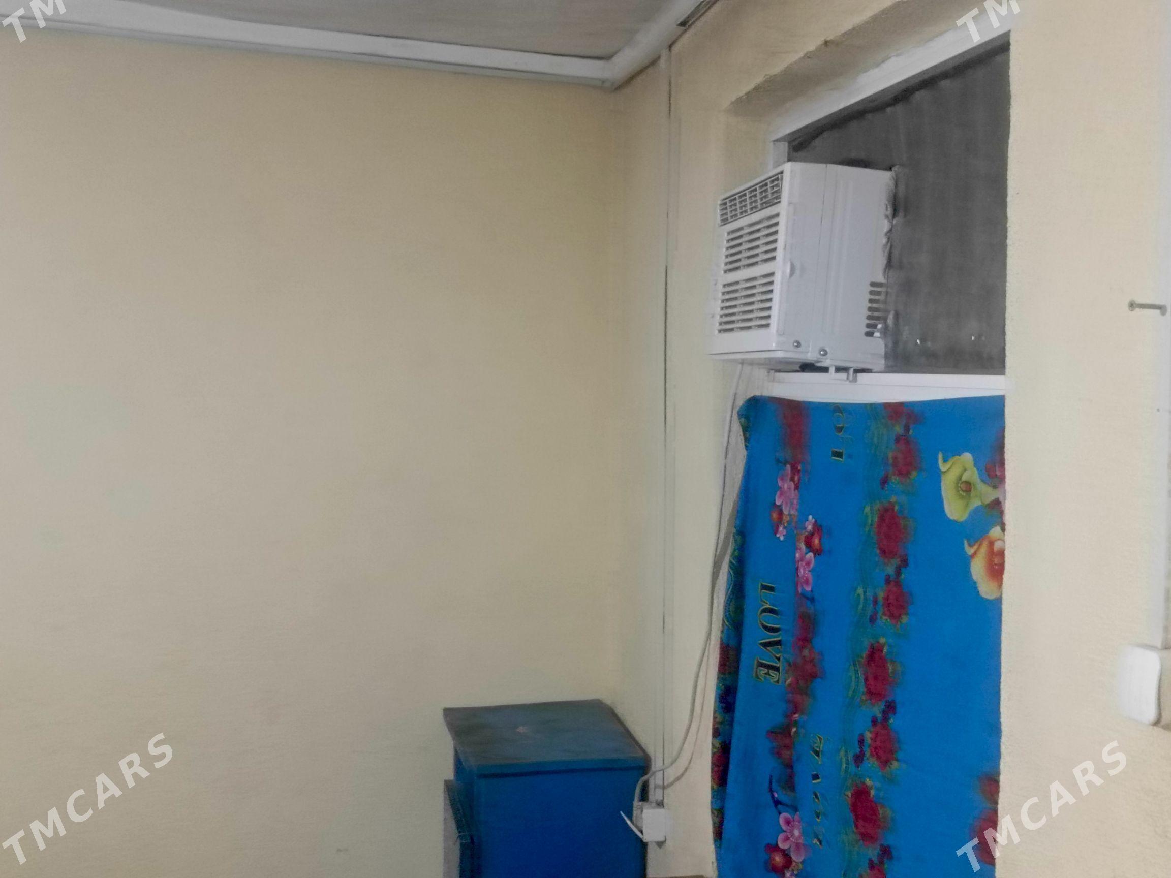 jay - Gökje - img 1