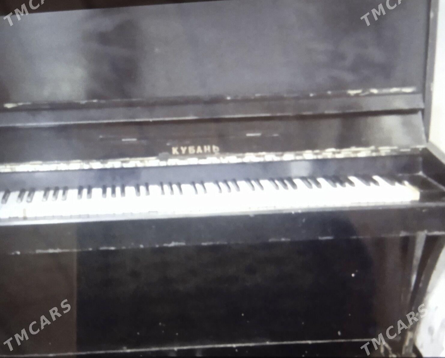 Piyonina yamaha - Байрамали - img 1