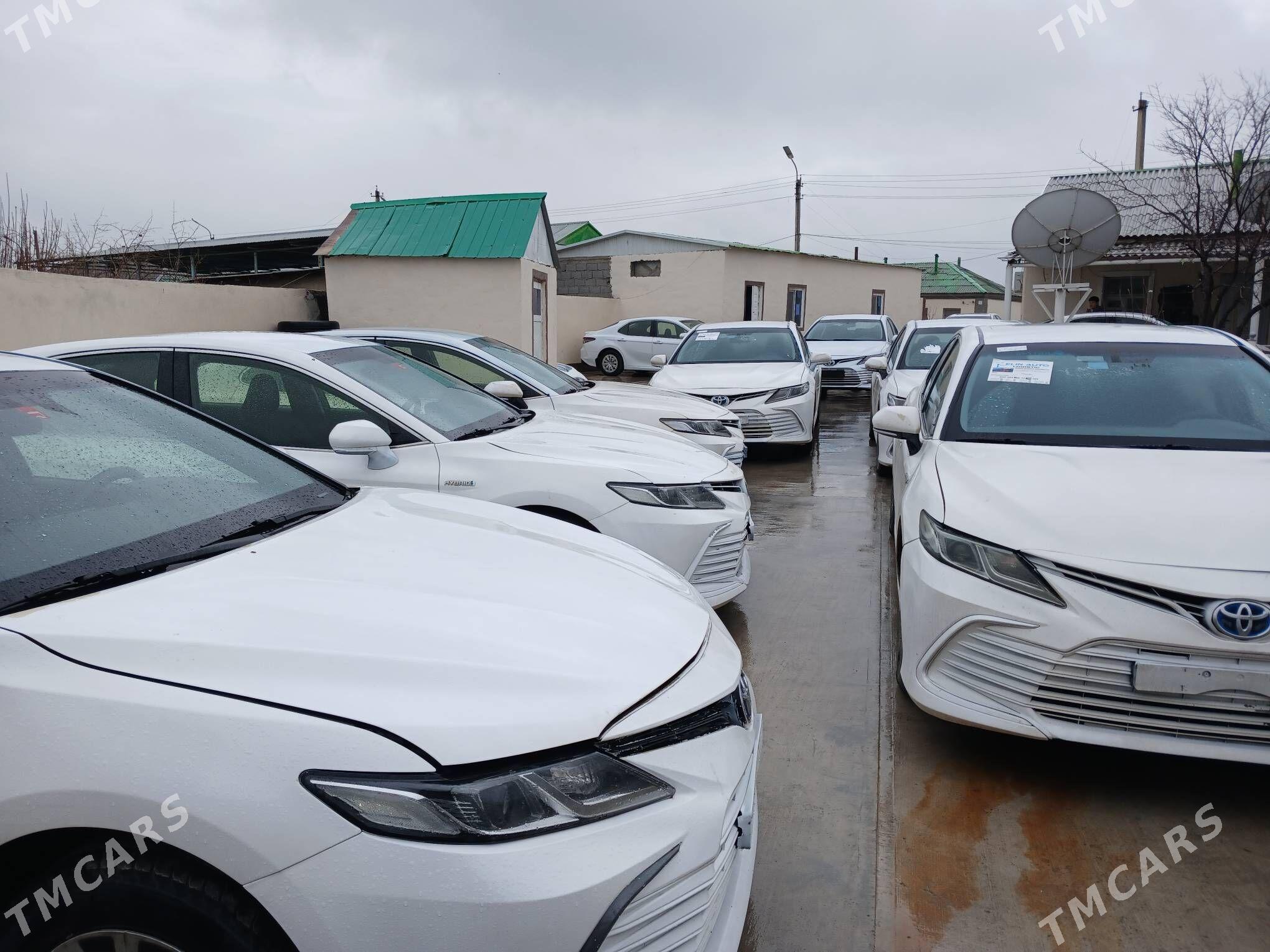 Toyota Camry 2021 - 212 000 TMT - Büzmeýin - img 1