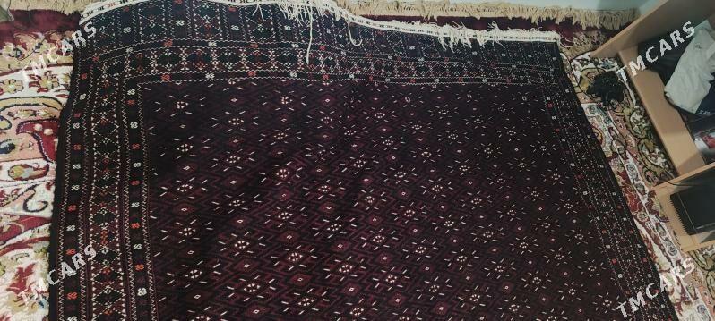 Haly - Balkanabat - img 1