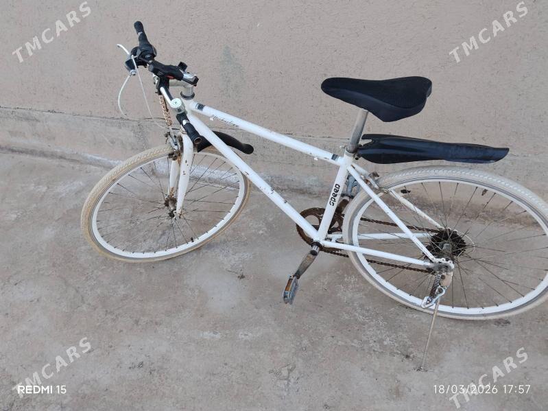 spartiwni vellik - Gurbansoltan Eje - img 1